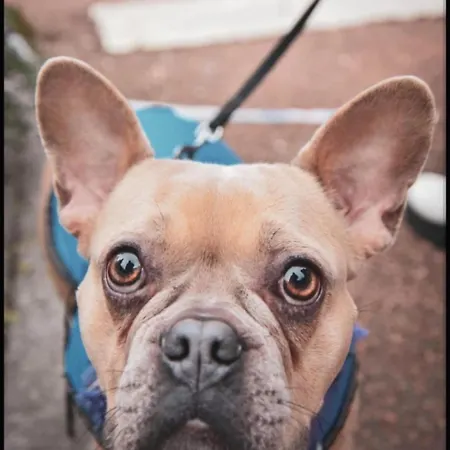 بيت للعطل La Maison D'ulysse Et Detente *