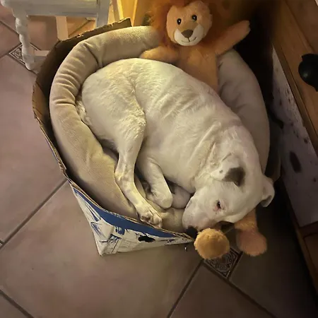 La Maison D'ulysse Et Detente Дом отдыха
