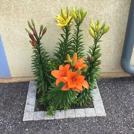 בית נופש La Maison D'ulysse Et Detente *