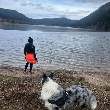 La Maison D'ulysse Et Detente בית נופש *