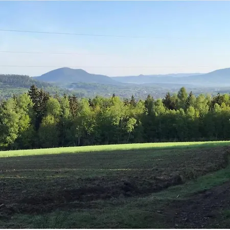 La Maison D'ulysse Et Detente