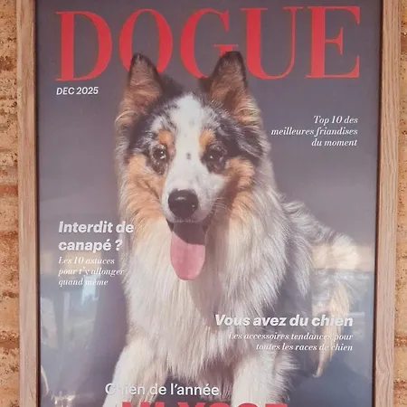 La Maison D'ulysse Et Détente Anould