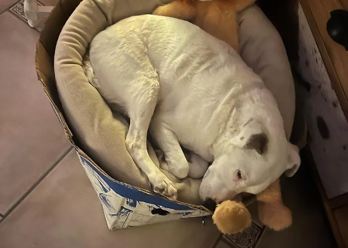 La Maison D'ulysse Et Detente Дом отдыха