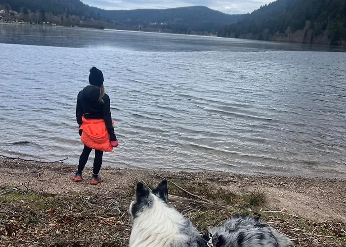 La Maison D'ulysse Et Detente Дом отдыха *