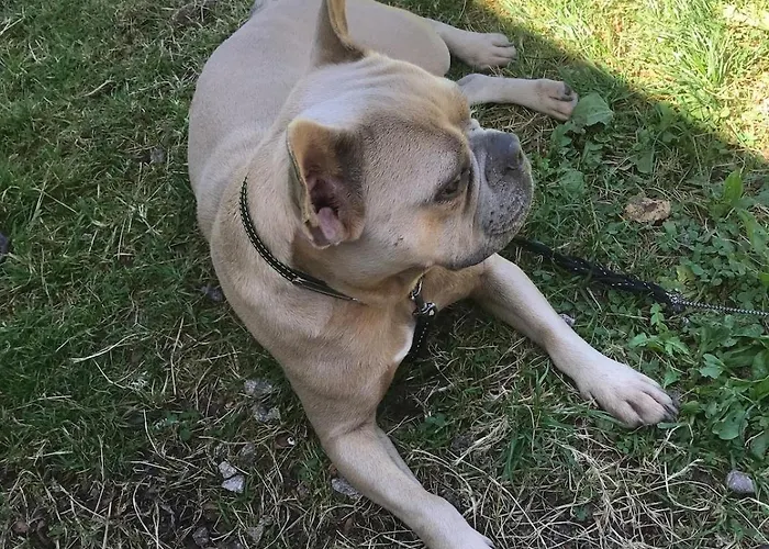 La Maison D'ulysse Et Detente