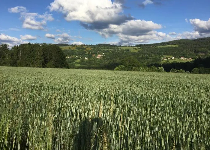 La Maison D'ulysse Et Detente * Anould